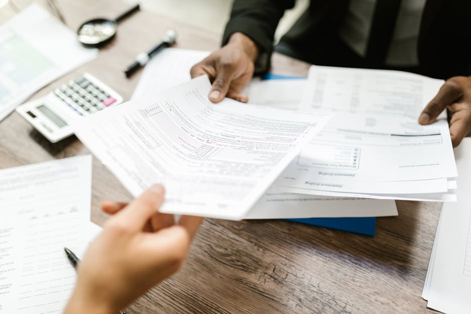 License and bond insurance