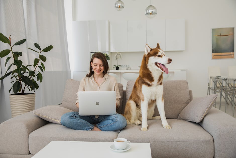 What is licensing and bonding for pet services