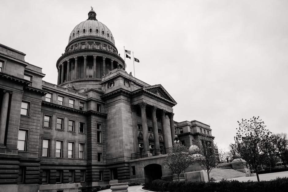 How much do bail bondsman make