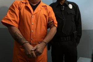 bail enforcement agent