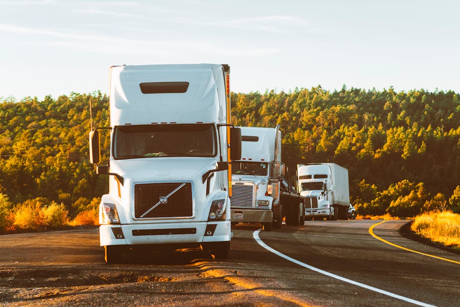 Fmcsa surety bond