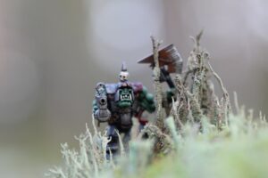 bounty hunt