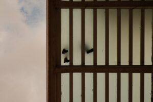 requirements for bail bondsman