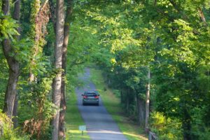 north carolina expired license extension